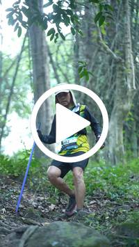 BIB:  <button type="button" onclick="openModal(27921331)" class="btn btn-primary btn-sm float-right" data-toggle="modal" data-target=".modal-high-quality">
                <i class="fa fa-download"></i> Download
                </button>